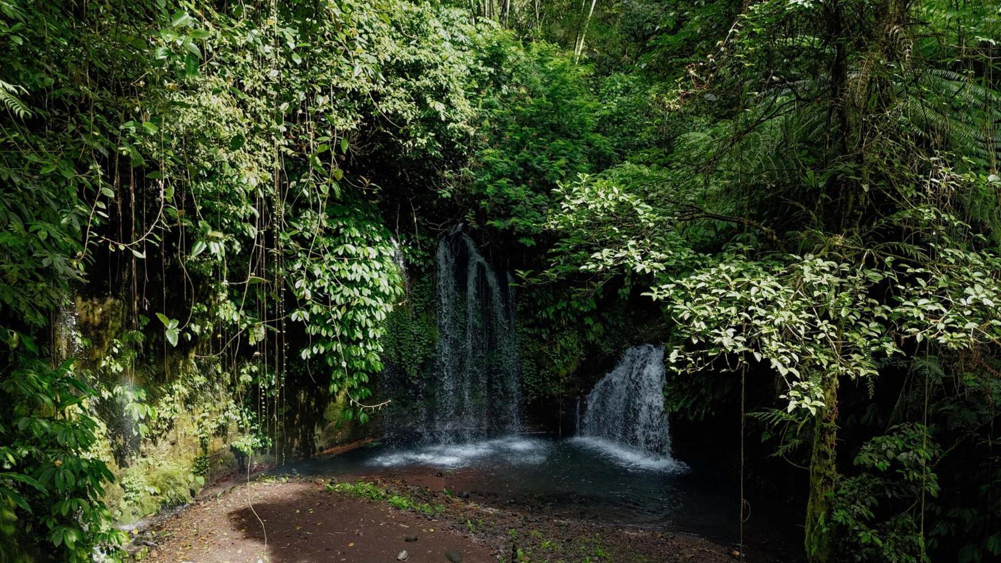 Santya Loka Lodge & Twin Waterfall Джатилувих Экстерьер фото