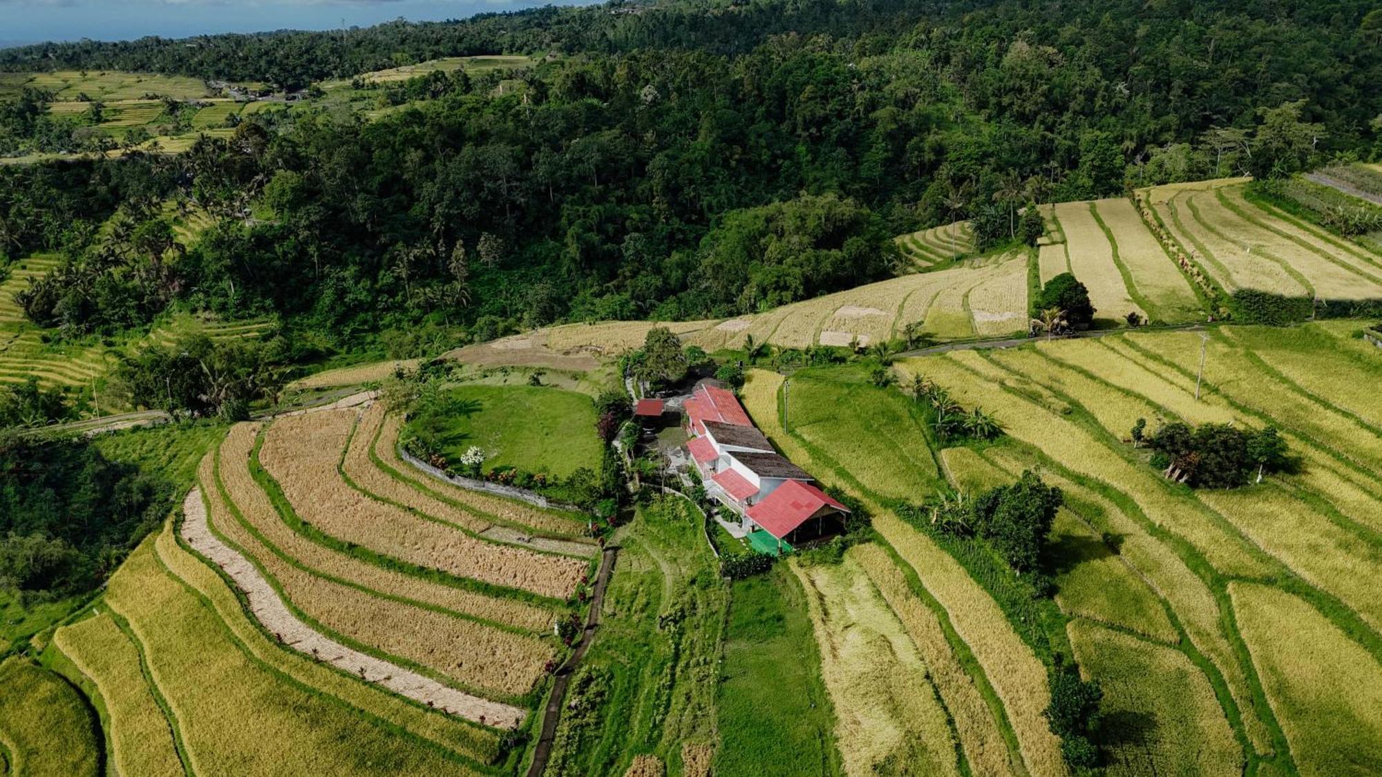 Santya Loka Lodge & Twin Waterfall Джатилувих Экстерьер фото