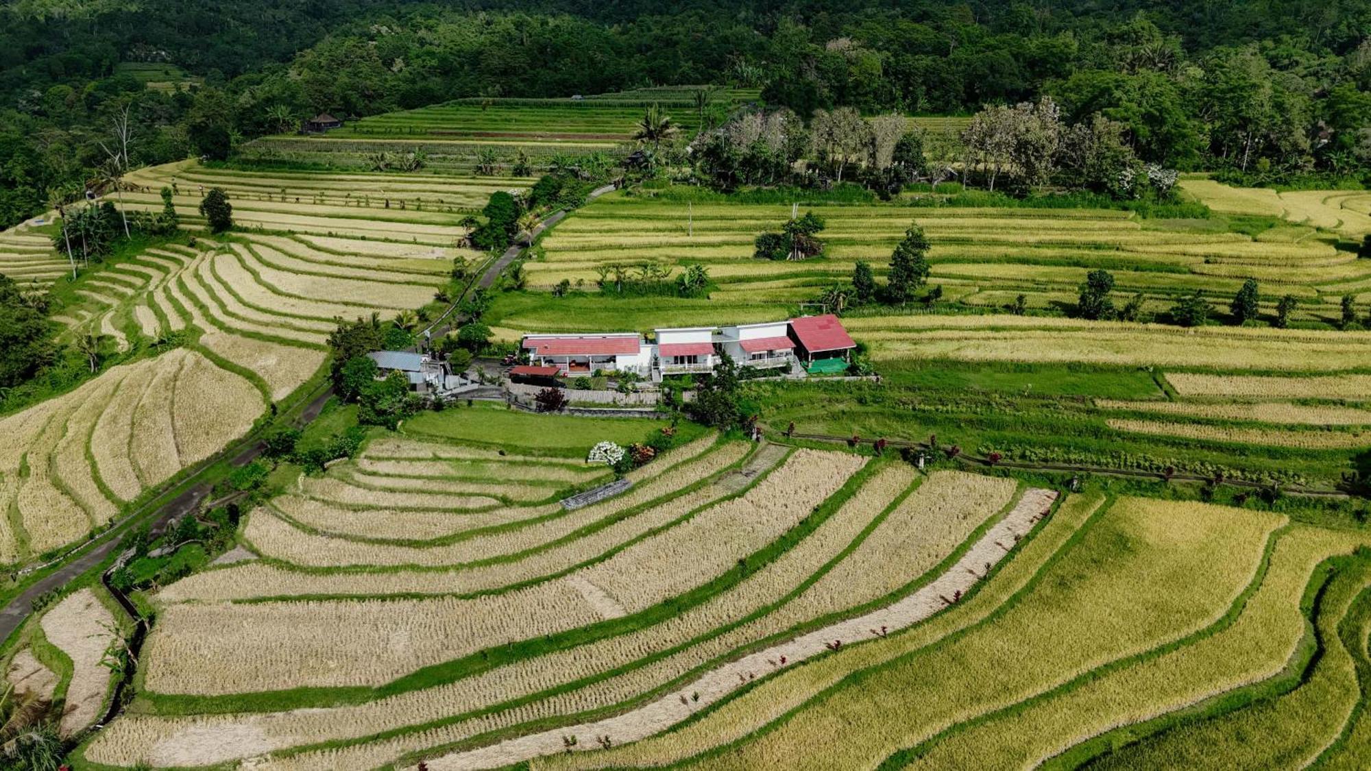 Santya Loka Lodge & Twin Waterfall Джатилувих Экстерьер фото