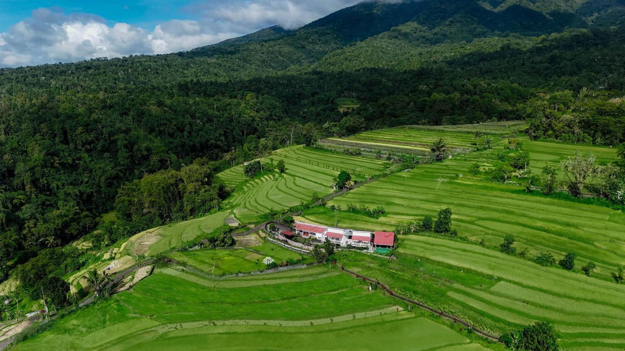 Santya Loka Lodge & Twin Waterfall Джатилувих Экстерьер фото